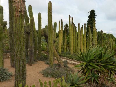 Pinya de Rosa botanical garden