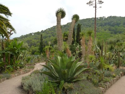 Pinya de Rosa botanical garden