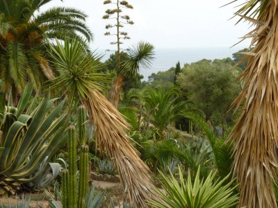 Pinya de Rosa botanical garden