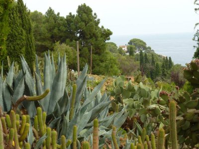 Pinya de Rosa botanical garden