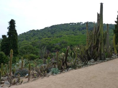 Pinya de Rosa botanical garden