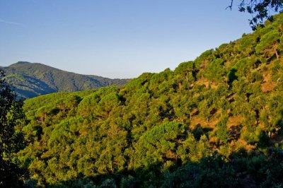 Montnegre mountains