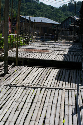 IMGP4562.jpg