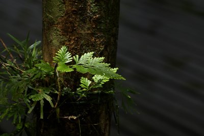 IMGP2344.jpg