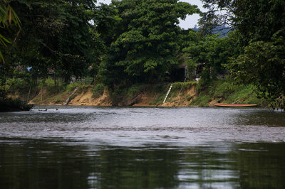 IMGP2429.jpg