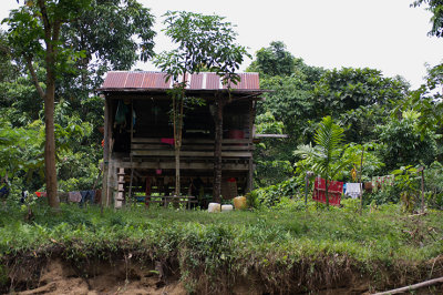 IMGP2458.jpg