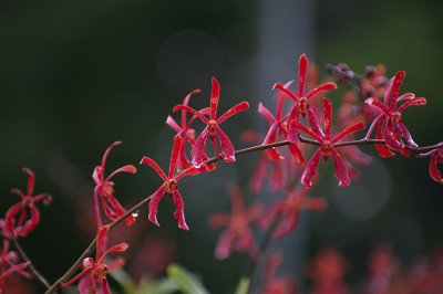 IMGP5052.jpg