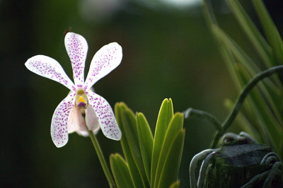 IMGP5109.jpg