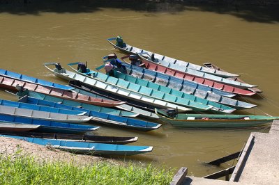 IMGP9795.jpg