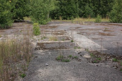 IMG_0959.JPG