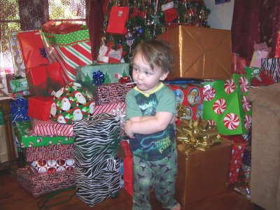 Rylan guarding the tree