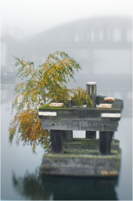 g1/18/13018/3/130370066.a735uByR.jpg
