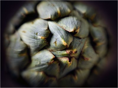 g1/18/13018/3/130412838.jPMZhmNz.jpg