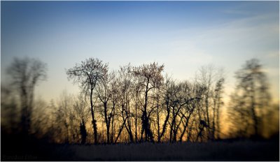 g1/18/13018/3/93088325.b8EKKj5u.jpg