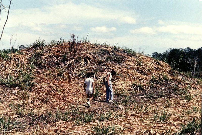 House-platform-mound