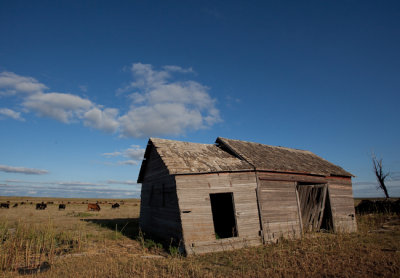 This Old House