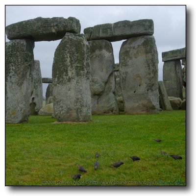 Stonehenge : Residents of the Hinge