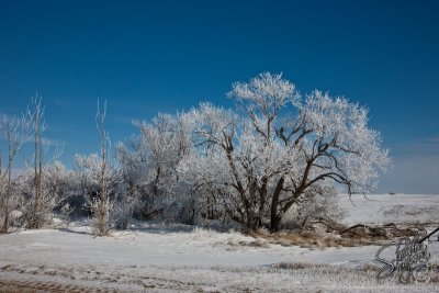 97812_Feb09__D3S2392.jpg