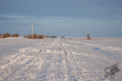 98531_Feb09_D3S3158_.jpg