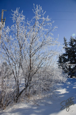 98575_Feb09_D3S3201.jpg