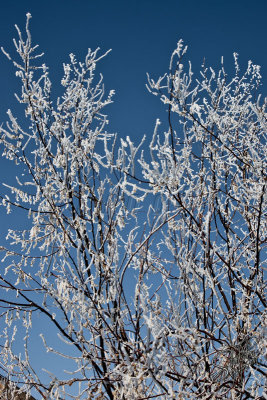 98587_Feb09_D3S3213.jpg