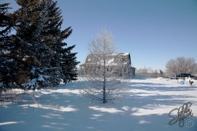 98589_Feb09_D3S3215.jpg