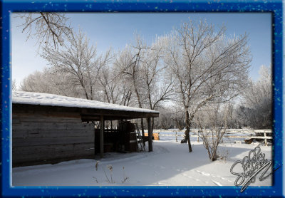 03583_Winter Shed.jpg