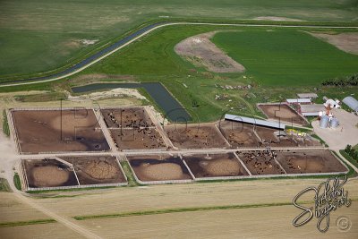 88458_Aerial Feedlot.jpg