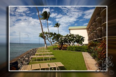 113710_Hawaii2010.jpg