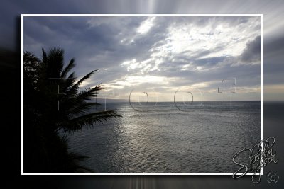 113721_Hawaii2010.jpg