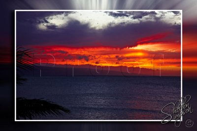 113725_Hawaii2010.jpg