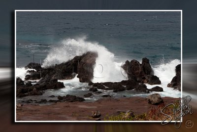 113960_Hawaii2010_M4D5386.jpg