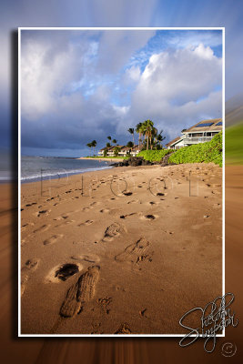 114094_Hawaii2010_D3S9595.jpg