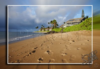114105_Hawaii2010_D3S9606.jpg