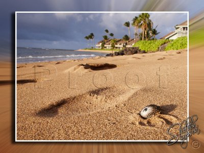 114117_Hawaii2010_D3S9618.jpg