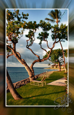 114126_Hawaii2010_D3S9627_H.jpg
