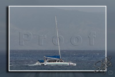 114140_Hawaii2010_M4D5517.jpg
