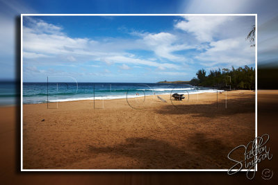 114344_Hawaii2010_D3S9637.jpg