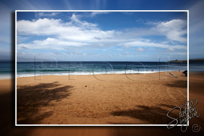 114348_Hawaii2010_D3S9641.jpg