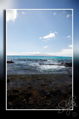 114490_Hawaii2010_D3S9715.jpg