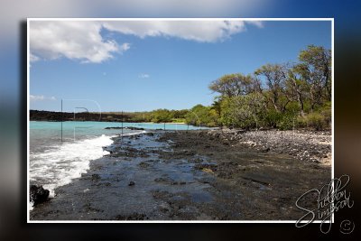114522_Hawaii2010_D3S9730.jpg