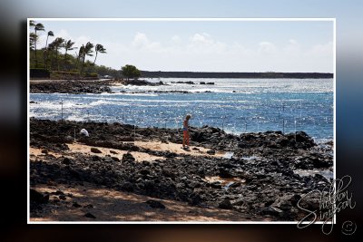 Hawaiian Rocky Coast _114439.jpg