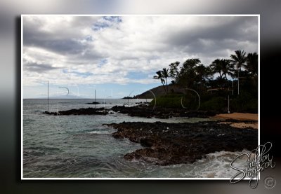 115109_Hawaii2010_D3S9939.jpg