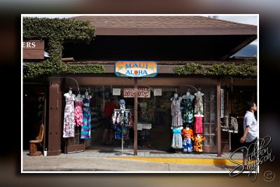 115341_Hawaii2010_D3S0088.jpg