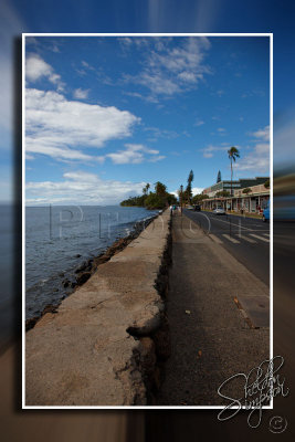 115389_Hawaii2010_D3S0136.jpg