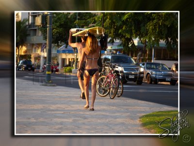 116014_Hawaii2010_D3S0819.jpg
