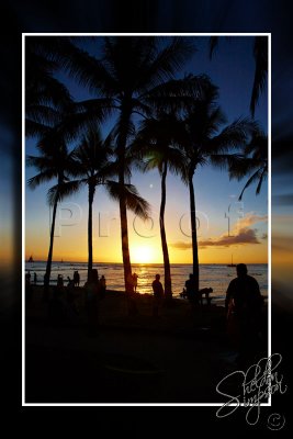 116018_Hawaii2010_D3S0823.jpg