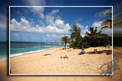 116124_Hawaii2010_D3S0929.jpg