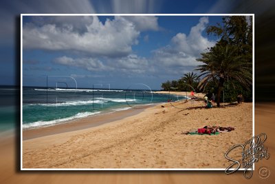 116126_Hawaii2010_D3S0931.jpg