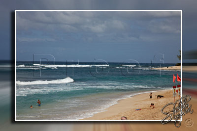 116132_Hawaii2010_D3S0937.jpg